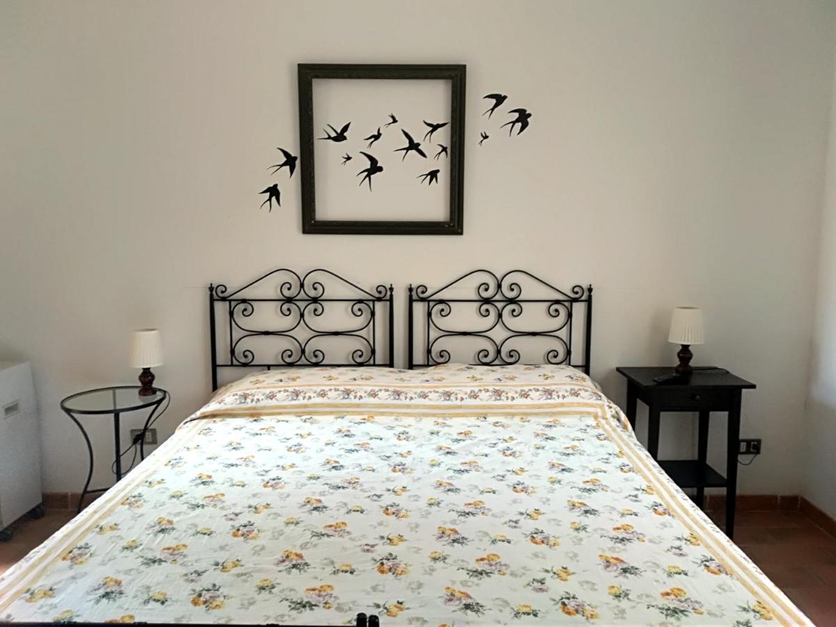 Agriturismo La Collina Toscana Pieve a Maiano Екстериор снимка