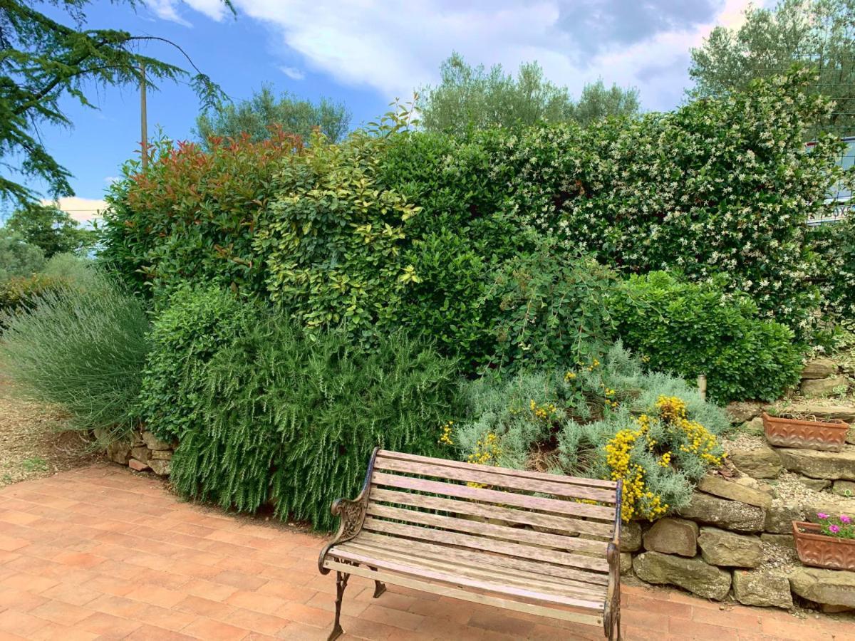 Agriturismo La Collina Toscana Pieve a Maiano Екстериор снимка